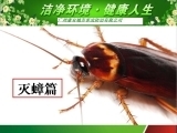 12广州害虫防治工程-广州康安城市害虫防治有限公司