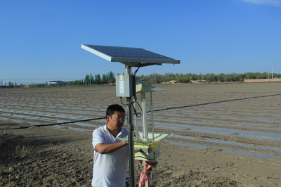 新疆兵团芳草湖农场:用绿色植保技术守护农业发展